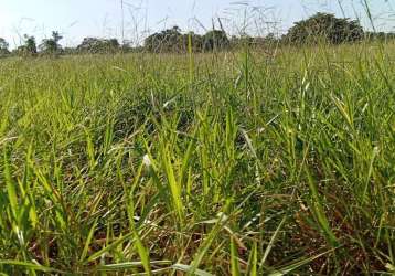 Sitio dupla aptidao para venda na regiao de lagoa-santa-go com 30 alqueires na pecuária, rio na propriedade e benfeitorias