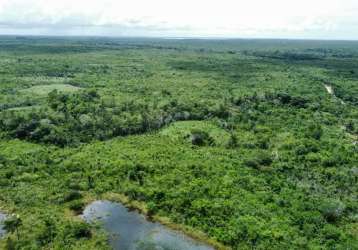 Fazenda para venda na região de humberto de campos-ma com 12.500 hectares sendo 10.000 hectares consolidados, restante app e reserva