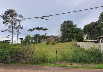 Terreno com 2.000m² , para aluguel, no bairro colônia murici em são josé dos pinhais