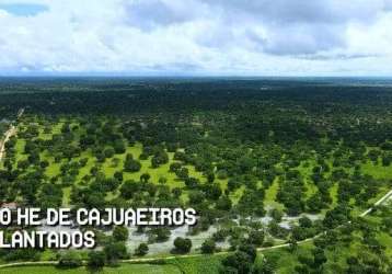 Veras vende fazenda 200ha em chorozinho