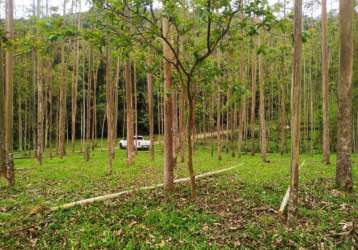 Terreno comercial à venda no dom joaquim, brusque  por r$ 990