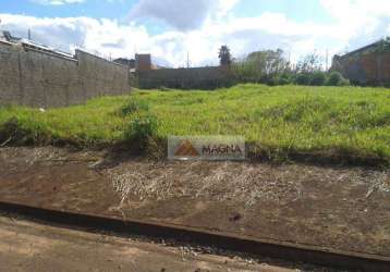 Terreno residencial à venda, jardim itaú, ribeirão preto.