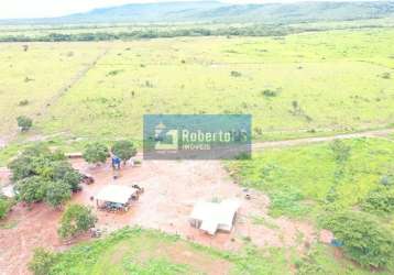 Fazenda região de nobres - mt