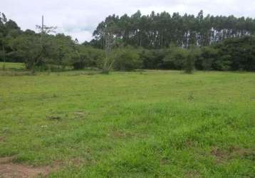 Sitio 8,0 hectares em triunfo -  rs