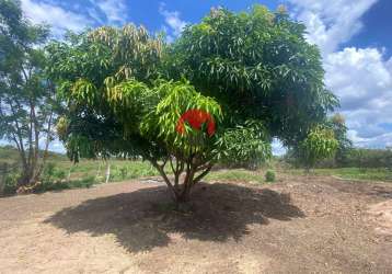 Propriedade com 06 hectares a 300 metros da rodovia ce 156 apenas 1h de fortaleza | catuana, caucaia-ce