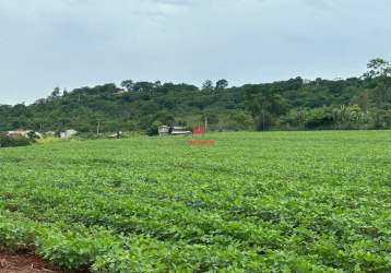 Chácara à venda - lote - distrito água boa