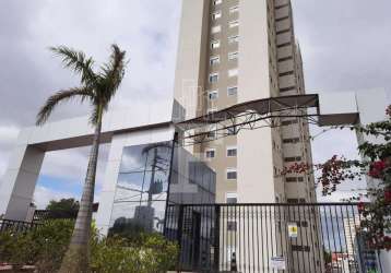 Apartamento com 2 quartos à venda na rua campos do jordão, 449, fundação da casa popular, campinas, 55 m2 por r$ 415.000