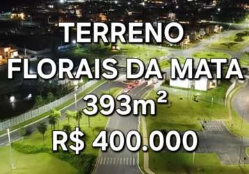 Terreno no florais da mata