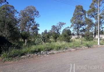 Pagamento em até 10x - terreno 5.000 m² - gleba arapongas