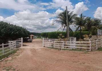 Granja/fazenda à venda - centro - brejinho/rn