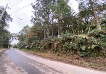 Terreno de 600,90m² a venda em canela, vila do cedro, canela - rs