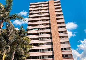 Apartamento à venda, 300 m² por r$ 1.750.000,00 - bairro jardim - santo andré/sp