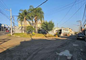 Terreno para locação vila flórida - guarulhos - sp.