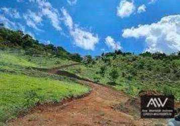 Terreno à venda, 1300 m² por r$ 35.000,00 - barreira do triunfo - juiz de fora/mg