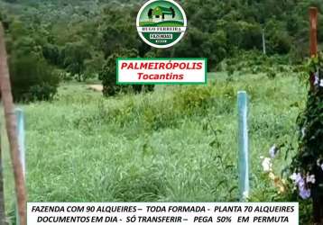 Fazenda toda formada em palmeirópolis/to- abastecida p0r represa