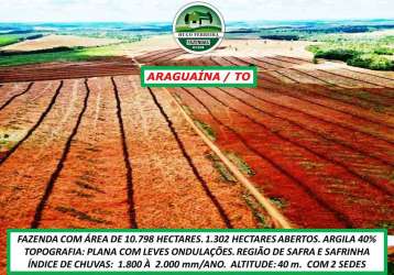 Fazenda dupla aptidão-topografia plana- local de safra e safrinha