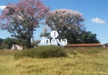 Fazenda à venda, rural - uberaba/mg