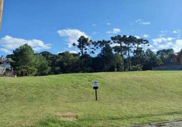 Terreno residencial à venda, altos pinheiros, canela