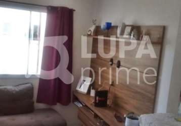 Apartamento com 2 quartos para venda, vila guilherme, são paulo