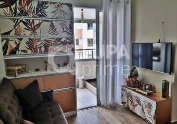 Apartamento com 3 quartos para venda, jaçana, são paulo