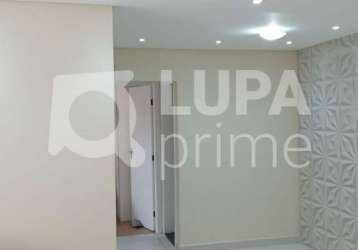 Apartamento 3 dormitórios 80 m2 1 vaga, vila bueno aires