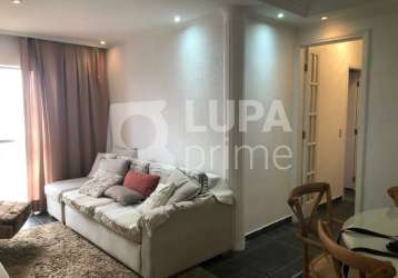 Apartamento com 4 dormitórios e 1 suíte á venda vila rica