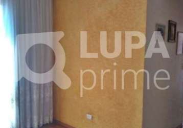 Apartamento com 3 quartos para venda, vila guilherme, são paulo