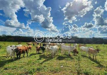 Fazenda à venda, 4 quartos, 1 suíte, zona rural - campo florido/mg