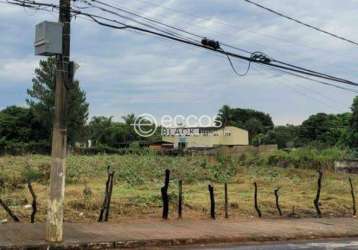 Terreno à venda, chácaras tubalina e quartel - uberlândia/mg