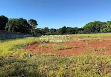 Terreno à venda, panorama - uberlândia/mg