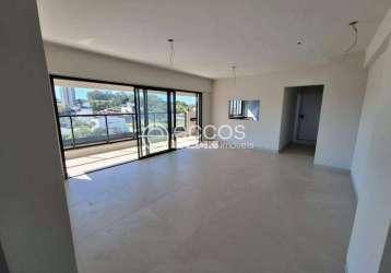 Apartamento à venda, 3 quartos, 3 suítes, 2 vagas, morada da colina - uberlândia/mg