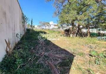 Terreno à venda, jardim karaíba - uberlândia/mg