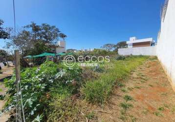 Terreno à venda, jardim karaíba - uberlândia/mg