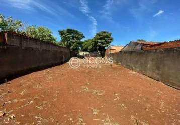 Terreno à venda, osvaldo rezende - uberlândia/mg