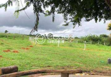 Fazenda à venda, 3 quartos, 4 vagas, zona rural - arinos/mg