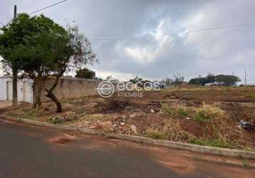 Terreno à venda, jardim ipanema - uberlândia/mg