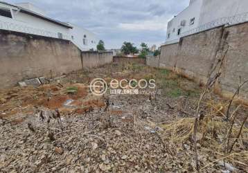 Terreno à venda, jardim colina - uberlândia/mg