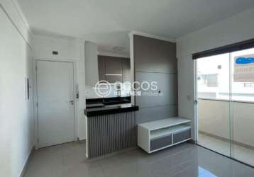 Apartamento à venda, 2 quartos, 1 vaga, alto umuarama - uberlândia/mg