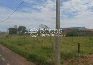 Terreno à venda, shopping park - uberlândia/mg