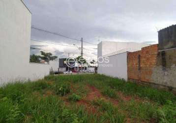 Terreno à venda, jardim botânico - uberlândia/mg