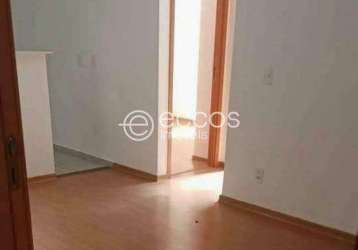 Apartamento à venda, 2 quartos, 1 vaga, jardim brasília - uberlândia/mg