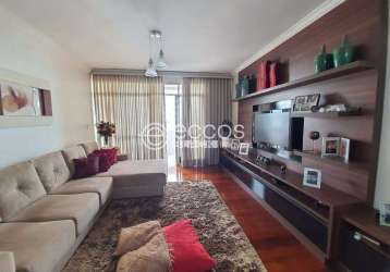 Apartamento à venda, 4 quartos, 1 suíte, 4 vagas, nossa senhora aparecida - uberlândia/mg