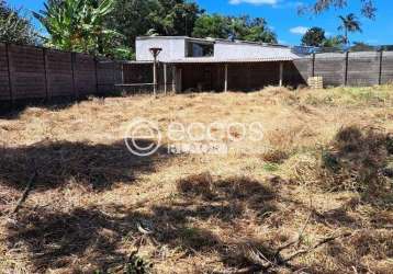 Terreno para aluguel, morada nova - uberlândia/mg