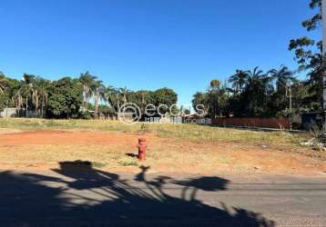 Terreno à venda, chácaras tubalina e quartel - uberlândia/mg