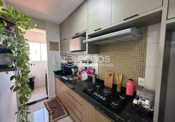 Apartamento à venda, 3 quartos, 1 suíte, 2 vagas, segismundo pereira - uberlândia/mg