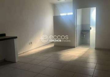 Apartamento para aluguel, 2 quartos, 1 suíte, centro - araguari/mg