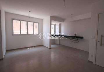 Apartamento à venda, 2 quartos, 2 vagas, serra - belo horizonte/mg