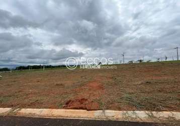 Terreno em condomínio à venda, portal do vale - uberlândia/mg