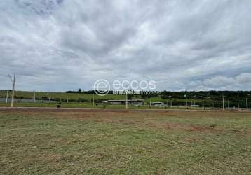 Terreno em condomínio à venda, loteamento portal do vale ii - uberlândia/mg