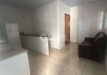 Apartamento para aluguel, 1 quarto, 1 suíte, 1 vaga, centro - araguari/mg